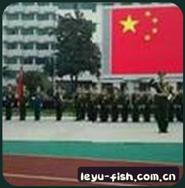 王璐